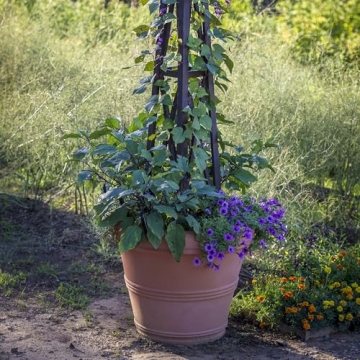 Crescent Garden Brunello Planter - 20-Inch Weathered Terracotta