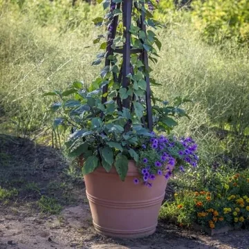 Crescent Garden Brunello Planter - 20-Inch Weathered Terracotta