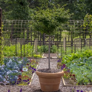 Crescent Garden Brunello Planter - 20-Inch Weathered Terracotta