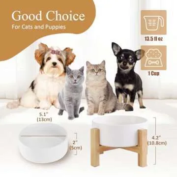 Elegant Elevated Ceramic Cat Bowl for Stylish Feeding