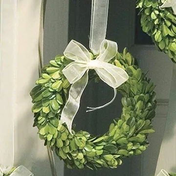 Napa Home & Garden 6-inch Preserved Wreath for Home Decor