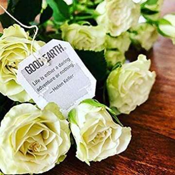 Good Earth Herbal Tea, Sweet & Spicy, Caffeine Free, Packaging May Vary, 18 Count, Pack of 6