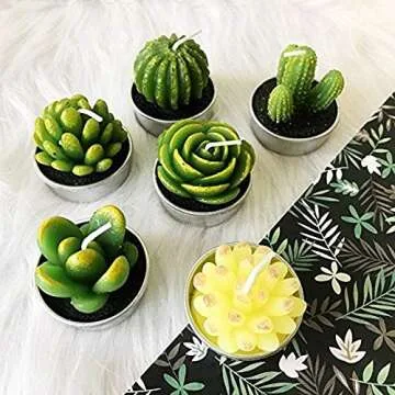 Cactus Tea Lights Gift Set for Home Decor & Celebrations