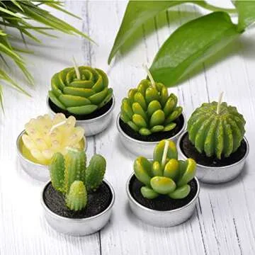 Cactus Tea Lights Gift Set for Home Decor & Celebrations