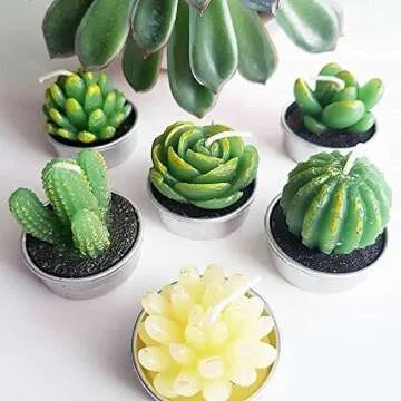 Cactus Tea Lights Gift Set for Home Decor & Celebrations