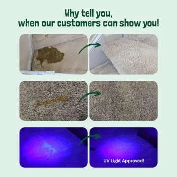 Sunny & Honey Pet Stain & Odor Miracle - Enzyme Cleaner for Dog Urine & Cat Pee - 32 Fl Oz, Spring M...