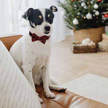 Hearos Bowtie Dog Collar Pet Gift Soft&Comfy Velvet Dog Collars with Detachable Bowtie Gold Metal Buckle for Puppy Small Medium Large Girl and Boy Dogs (XL, Red)