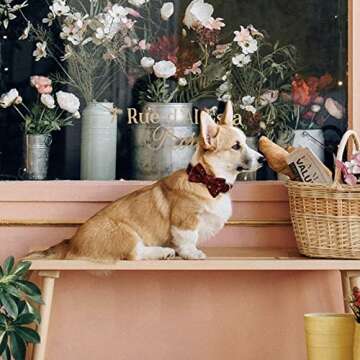 Hearos Bowtie Dog Collar Pet Gift Soft&Comfy Velvet Dog Collars with Detachable Bowtie Gold Metal Buckle for Puppy Small Medium Large Girl and Boy Dogs (XL, Red)