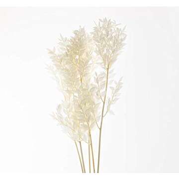 CBT Floral & Craft Dried Italian Ruscus (Approximately 30in Tall) Bleached Italian Ruscus l Preserve...