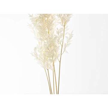 Dried Italian Ruscus for Elegant Decorations and Crafting