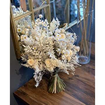 Dried Italian Ruscus for Elegant Decorations and Crafting