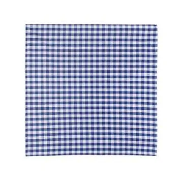 DG Collections Elegant Blue Checkered Cotton Napkins Set