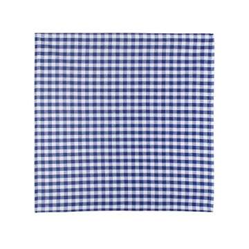 DG Collections Elegant Blue Checkered Cotton Napkins Set