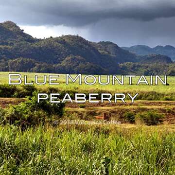 Jamaica Blue Mountain Peaberry Coffee, 100% Pure, Whole Bean, Fresh Roasted, 16-ounce
