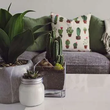 WGV Cube Glass Vase, Candle Holder, 8"x8"x8", Clear Elegant Floral Accent Container Planter Terrarium Storage for Wedding Party Ceremony Event Office Home Decor, 1 Piece