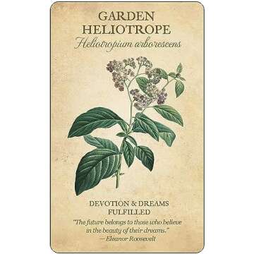 Botanical Inspirations Deck & Book Set