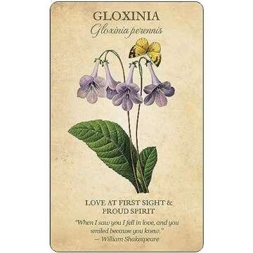 Botanical Inspirations Deck & Book Set