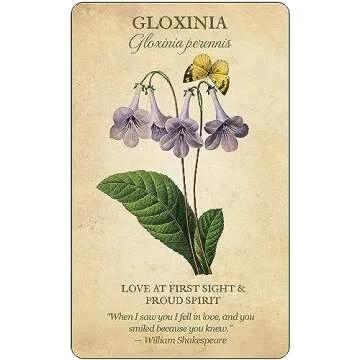 Botanical Inspirations Deck & Book Set