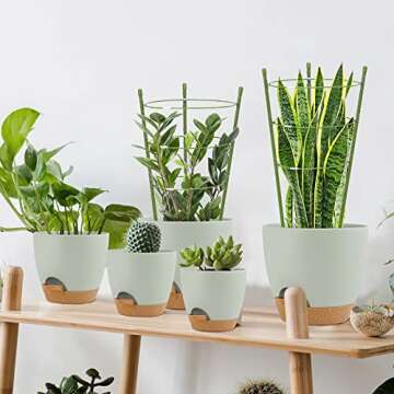 TOCCYARD 4 Pack Plant Support Tomato Cages for Garden, 18 Inches Small Tomato Cages and Supports with Adjustable Rings for Garden Pots, Plant Stakes Tomato Trellis Rings for Climbing Plants