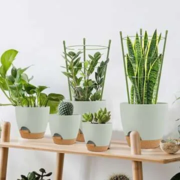 TOCCYARD 4 Pack Plant Support Tomato Cages for Garden, 18 Inches Small Tomato Cages and Supports with Adjustable Rings for Garden Pots, Plant Stakes Tomato Trellis Rings for Climbing Plants