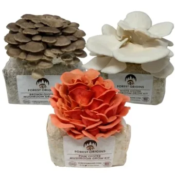 Forest Origins Specialty Trio Oyster Mushroom Grow Kit 3-Pack Variety - Beginner Friendly & Easy to ...