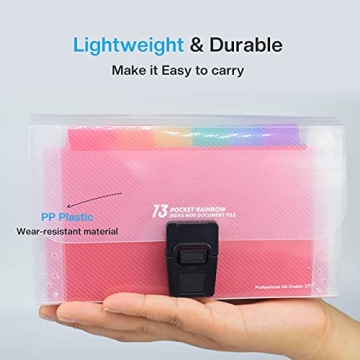 REEMTOO Mini Accordion File Organizer with 13 Pockets