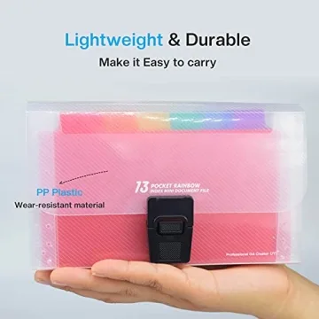 REEMTOO Mini Accordion File Organizer with 13 Pockets