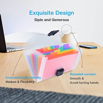 REEMTOO Mini Accordion File Organizer with 13 Pockets