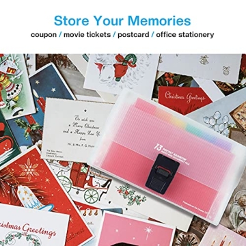 REEMTOO Mini Accordion File Organizer with 13 Pockets