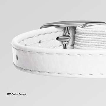 CollarDirect Leather Cat Collar, Cat Safety Collar with Elastic Strap, Kitten Collar for Cat with Bell Black Blue Red Orange Lime Green (8-11 Inch, White)