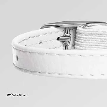 CollarDirect Leather Cat Collar, Cat Safety Collar with Elastic Strap, Kitten Collar for Cat with Bell Black Blue Red Orange Lime Green (8-11 Inch, White)