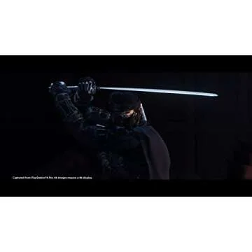 Ghost of Tsushima Adventure on PlayStation 4