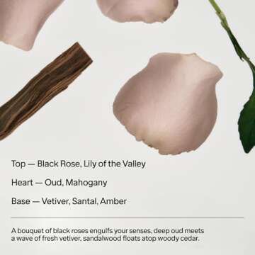 Salt & Stone Body Mist, Black Rose & Oud Scent, Skincare Infused Perfume Hair & Body Spray for Women and Men, Hydrating Fragrance with Glycerin and Red Algae, Vegan, Cruelty Free, 3.4 fl oz