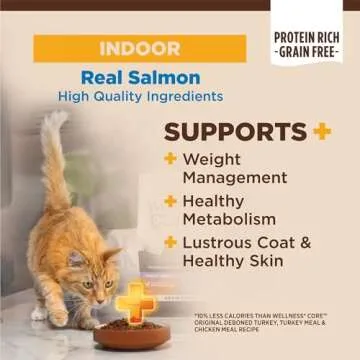 Wellness CORE+ Natural Grain-Free, High Protein Adult Dry Cat Food, Salmon and Herring Meal, Indoor ...