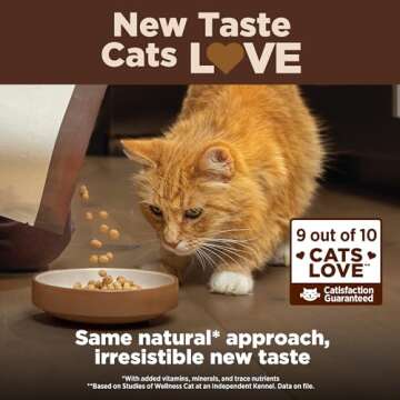 Wellness CORE+ Natural Grain-Free, High Protein Adult Dry Cat Food, Salmon and Herring Meal, Indoor Recipe, 5 Pound Bag