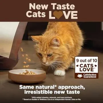 Wellness CORE+ Natural Grain-Free, High Protein Adult Dry Cat Food, Salmon and Herring Meal, Indoor Recipe, 5 Pound Bag