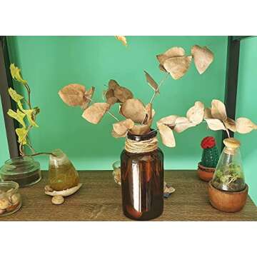 2 Pieces Amber Glass Vases. 7.9x4 in Apothecary Jars. Decorative Bottles, 2 L for Flower, Vintage Medicine Bottles: Decor Centerpiece, Wedding, Bridal Shower. (Amber 2L)