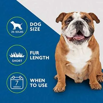 FURminator Short Hair Dog Grooming Tool for Shedding