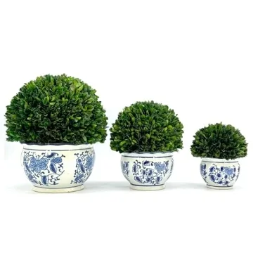 Galt International 7" Boxwood Ball in Blue & White Pot