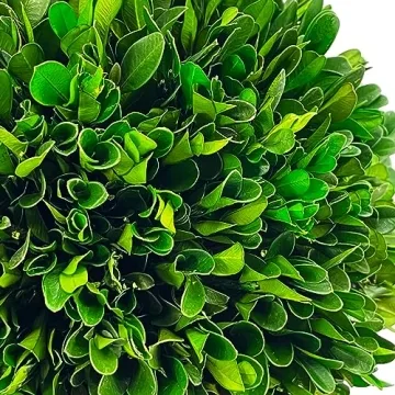 Galt International 7" Boxwood Ball in Blue & White Pot