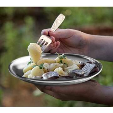 Reusable Brushed Metal 18/8 Dinner Plates- Vintage Quality 304 Stainless Steel Silver Color Heavy Duty Kitchenware Round Metal 9 Inch Plates | Dishwasher Safe | BPA Free| Use for BBQ Steak (2 Pack)