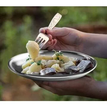 Reusable Brushed Metal 18/8 Dinner Plates- Vintage Quality 304 Stainless Steel Silver Color Heavy Duty Kitchenware Round Metal 9 Inch Plates | Dishwasher Safe | BPA Free| Use for BBQ Steak (2 Pack)