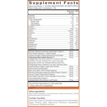 Seedlyfe Prenatal Pregnancy Safe Smoothie Mix - Protein & Superfoods - Pregnancy Must Haves – 30 Servings