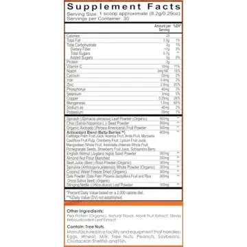 Seedlyfe Prenatal Pregnancy Safe Smoothie Mix - Protein & Superfoods - Pregnancy Must Haves – 30 Servings