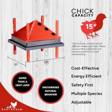 RentACoop 10x10 Inch Adjustable Heating Plate with Bonus Foldable Anti-Roost Cone for up to 15 Chick...