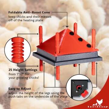 RentACoop 10x10 Inch Adjustable Heating Plate with Bonus Foldable Anti-Roost Cone for up to 15 Chicks | Small Chick Brooder Heat Plate – Energy-Efficient and Safer Than Heat Lamps