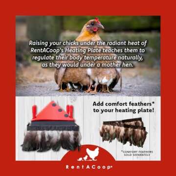 RentACoop 10x10 Inch Adjustable Heating Plate with Bonus Foldable Anti-Roost Cone for up to 15 Chicks | Small Chick Brooder Heat Plate – Energy-Efficient and Safer Than Heat Lamps