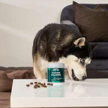 Happy Heroes Calming Chews for Dogs - Natural Anxiety Relief