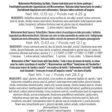 Burt's Bees, 3 Lip Care Products, Squeezy Trio Tinted Lip Balm Set, Berry Sorbet, Sweet Peach & Watermelon Rush