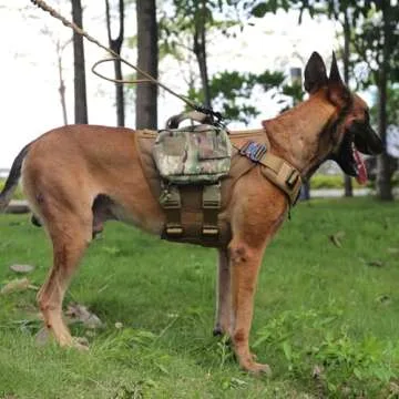 Durable ICEFANG Tactical Dog Harness for All Sizes